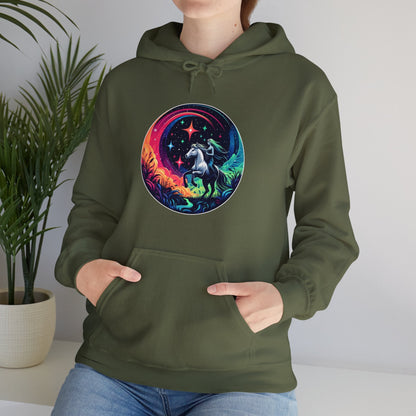 Hoodie Cosmic Horse & Rider Unisex Hoodie GS_35