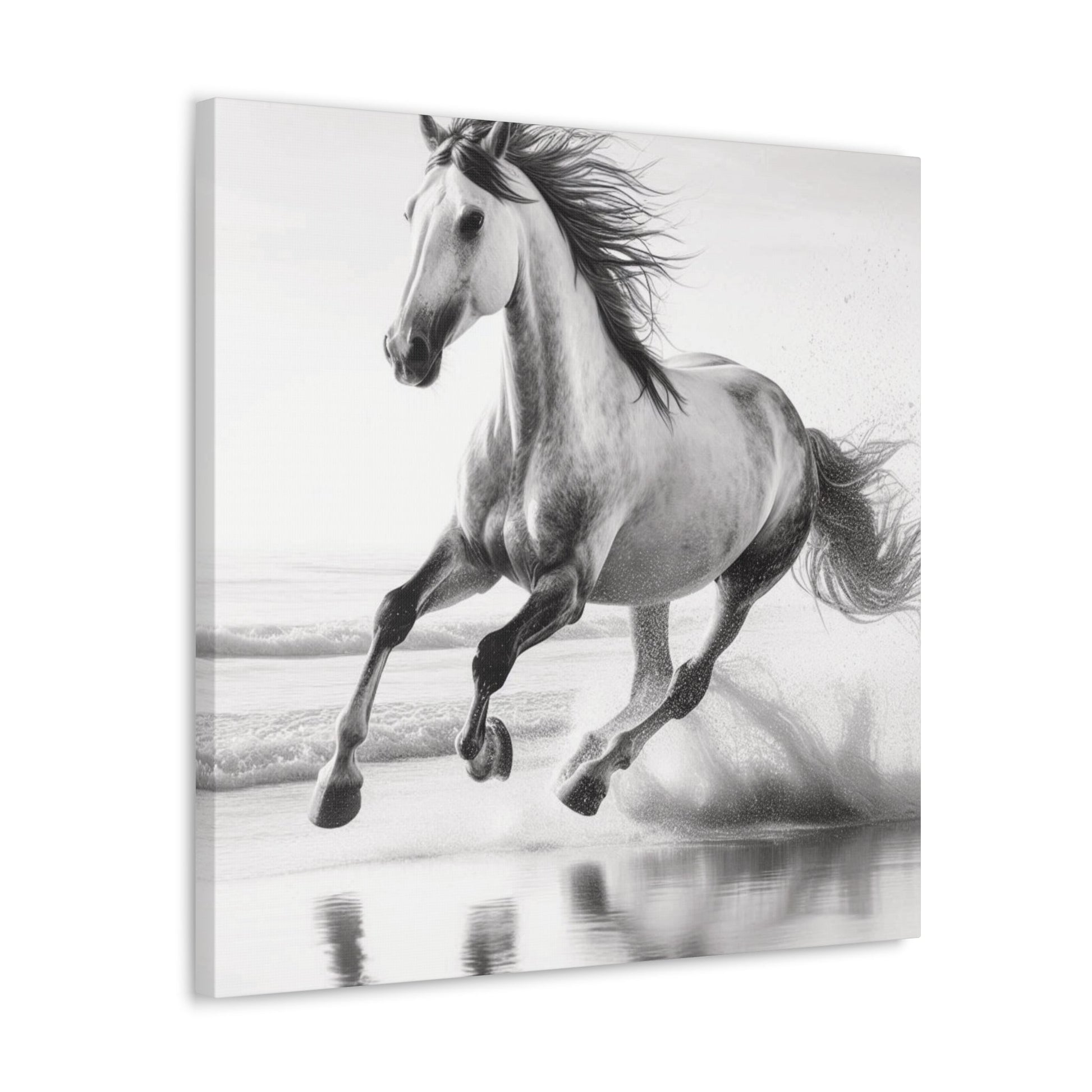 Wall Art Wild Horse on Beach Canvas Gallery Wrap GS_58